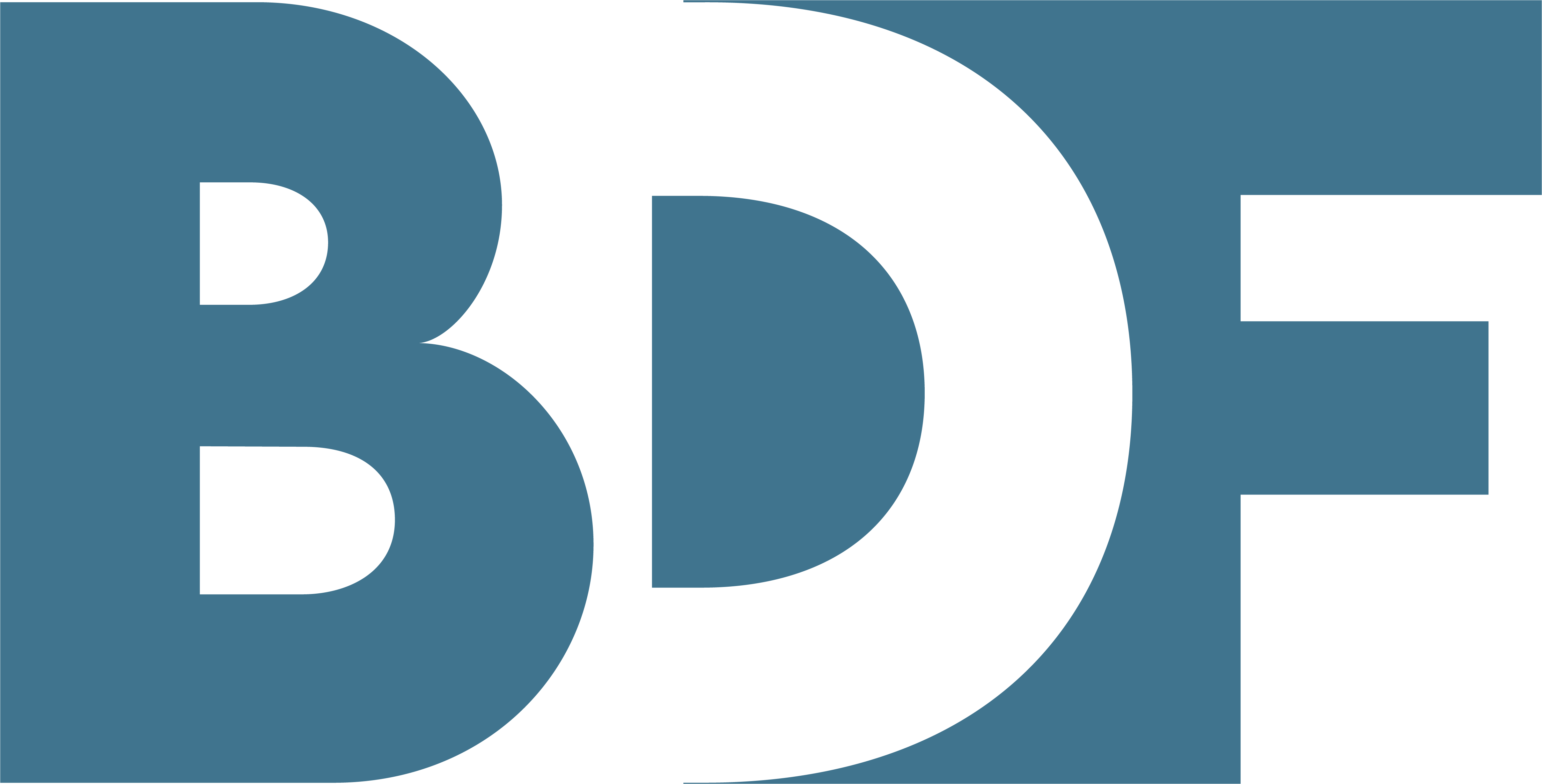 Barizi Digital Fusion logo